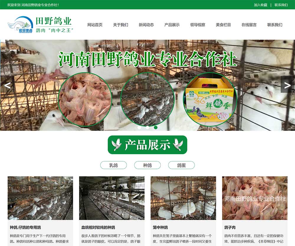 河南田野鸽业专业合作社